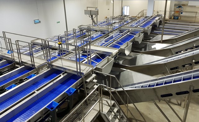 FISH HANDLING DISTRIBUTION SYSTEMS