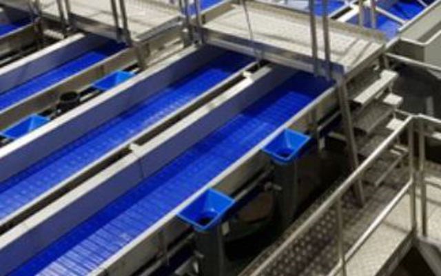 Fish Handling Distribution Systems