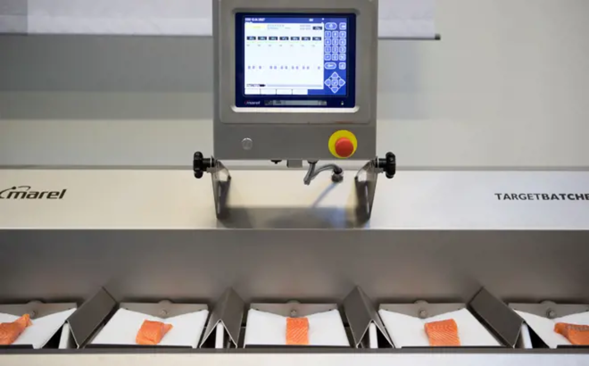 WEIGHING, GRADING AND BATCHING