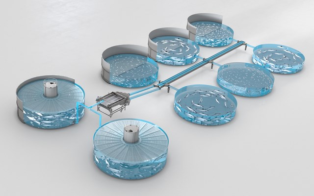 Fokus på fiskevelferd